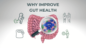 why-improve-gut-health
