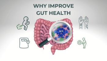 What Can Improve Gut Health